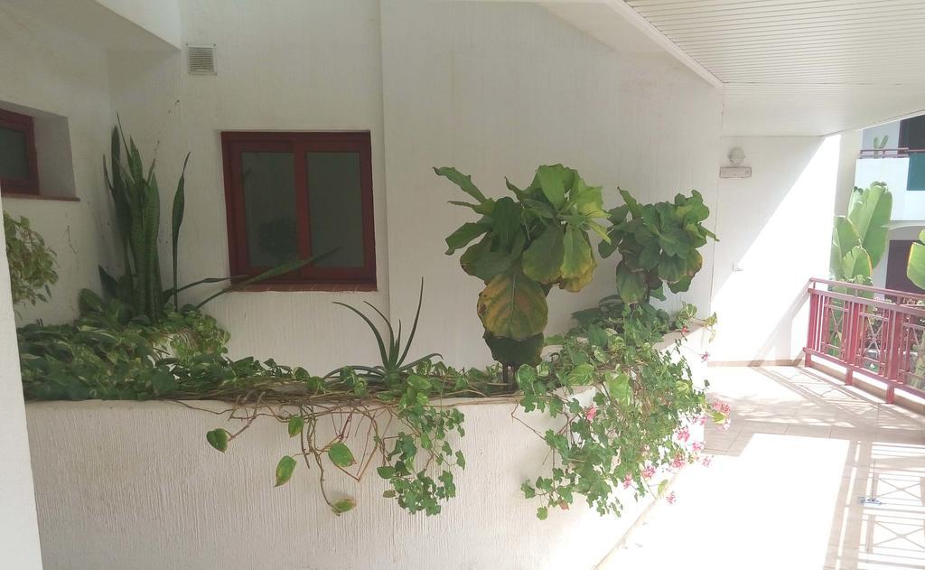 C101 Los Balandros Palm-mar Exterior photo